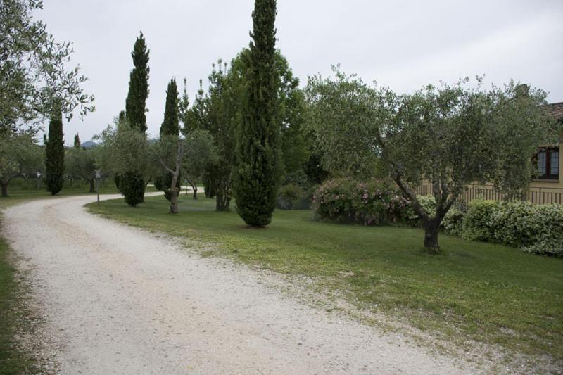 Agriturismo Scuderie Della Contea Sutri Zewnętrze zdjęcie